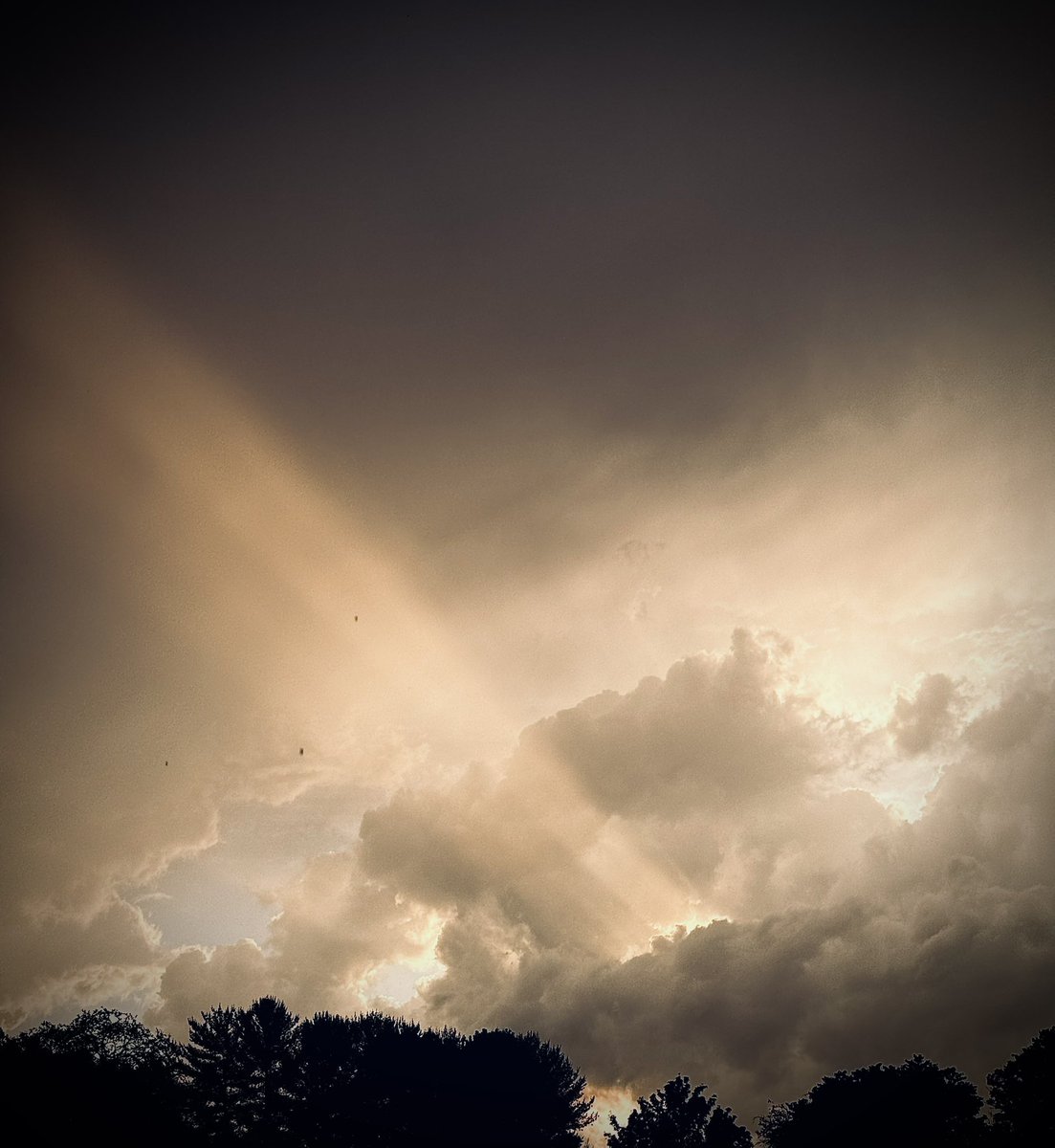 Learn to dance in the rain, the universe will reveal incredible things…

Was lucky enough to capture this shot just after a fantastic thunderstorm ⛈️