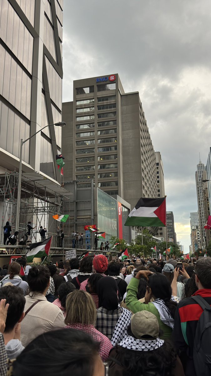 Palestine will be free