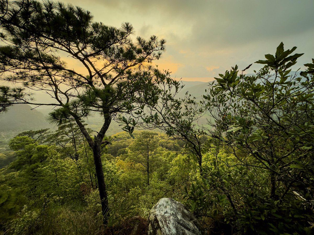 🖼🍃Hermosas portales del la Garnacha en el departamento de Estelí. - - - - Fotos cortesía de Camila Mairena. #4519lapatrialarevolución