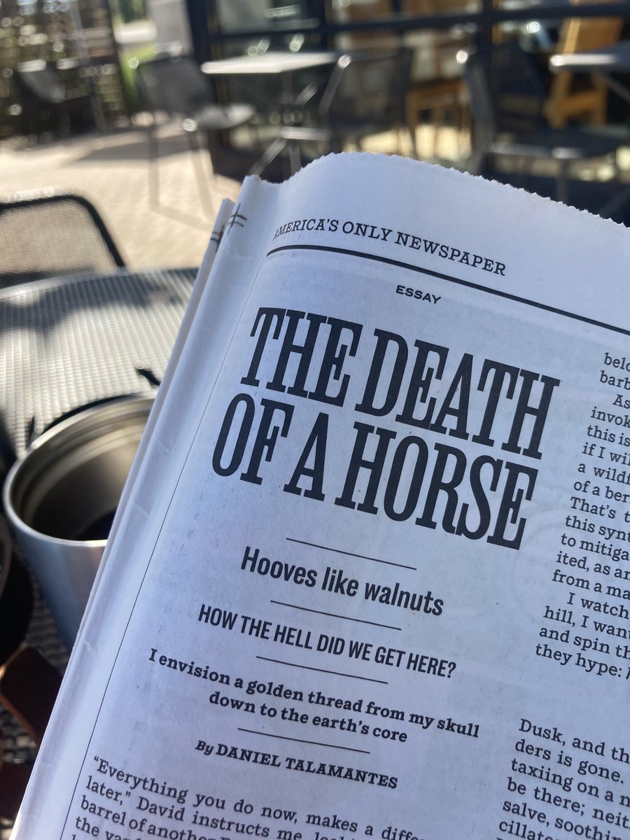 "The Death of a Horse" by Daniel Talamantes is a beautifully written send off. Not just for the horse, but for so much else we've lost. 

The "native grasslands paved and developed" reminds me of my childhood, when I used to chase jack rabbits behind the fence. But living in the