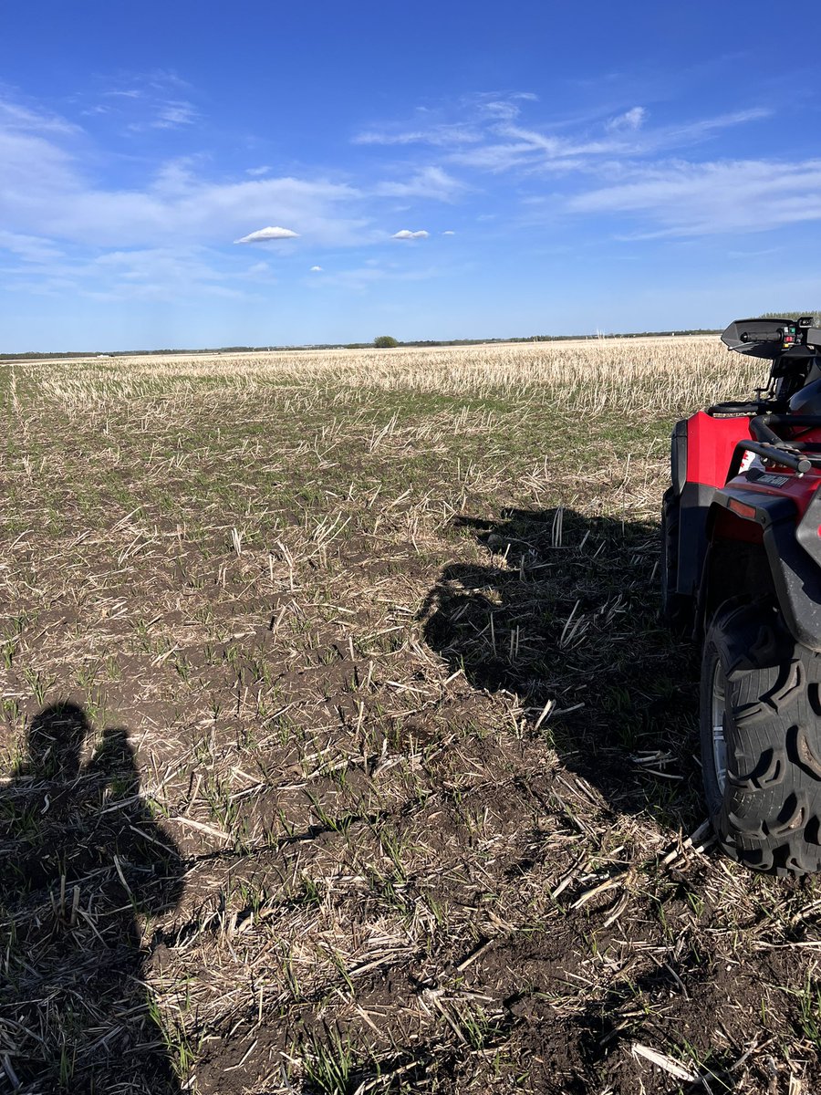 Kelly Boles tweet media