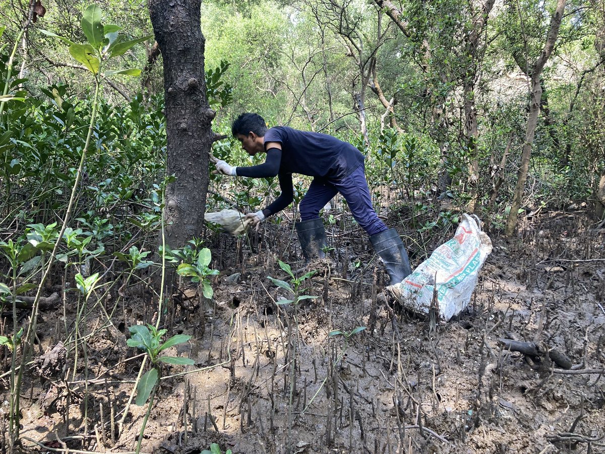 WEEK 332: #BeatPlasticPollution

#MithiRiverCleanUp & #AiroliMangrovesCleanUp
If we cannot help nature recover, then there is no help for us humans.

@KalambeMalhar @UNinIndia @UNDP_India @UNVAsiaPacific @MangroveForest @mygovindia