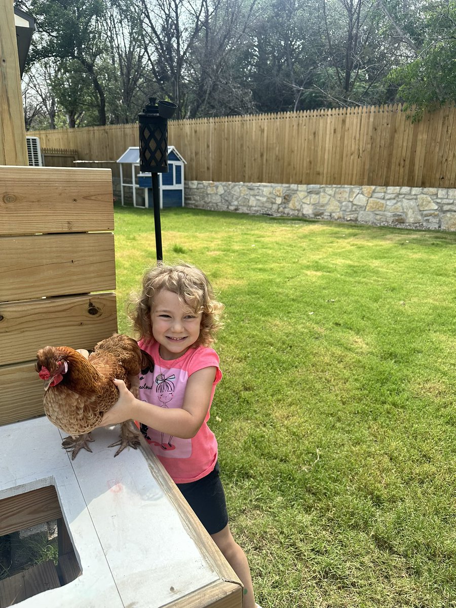I made it back to Central Texas from seeing our moms down on the coast. Man it was a steamer down south like 104 with heat warnings. 🥵🥵🥵 Looks like Chicken Rancher has all her chickens in one place at her new home and she is a happy camper.