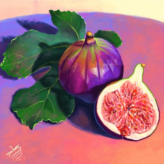 Victoria #Georgieva (@Veryberrydraws) •Fig & A Half• #WomensArt #ArtByWomen #WomenArtists