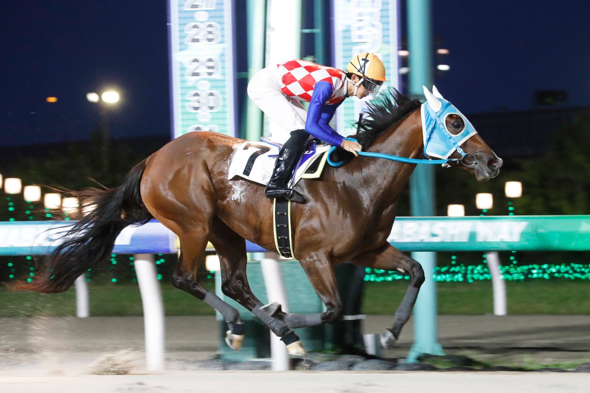 大井競馬場　藤田　凌騎手ゼッケン　第33回 全日本新人王争覇戦第２戦 大井競馬場 藤田 凌騎手ゼッケン 第33回 全日本新人王争覇戦第2戦