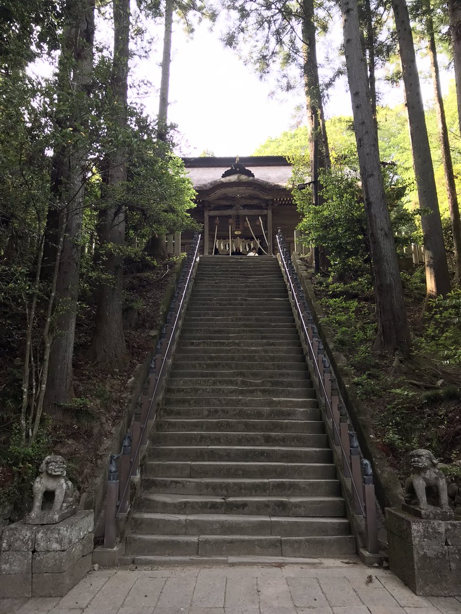 一昨日のお上がり（帰りの行列）の前にお邪魔した相馬中村神社が素敵すぎたので、こちらもお写真を。馬が沢山あしらわれてて、境内も厳かで美しく、まるでそこだけ異世界のような空間でした。地元にもこんなに素敵な場所があったら通ってしまうなー