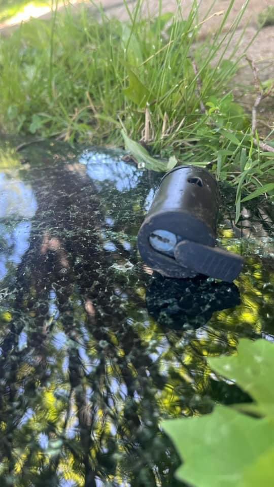 ElleMcPoopson on 🦋 tweet media