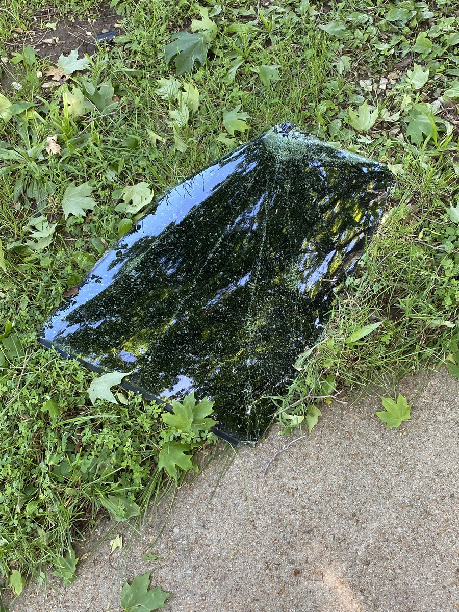 ElleMcPoopson on 🦋 tweet media