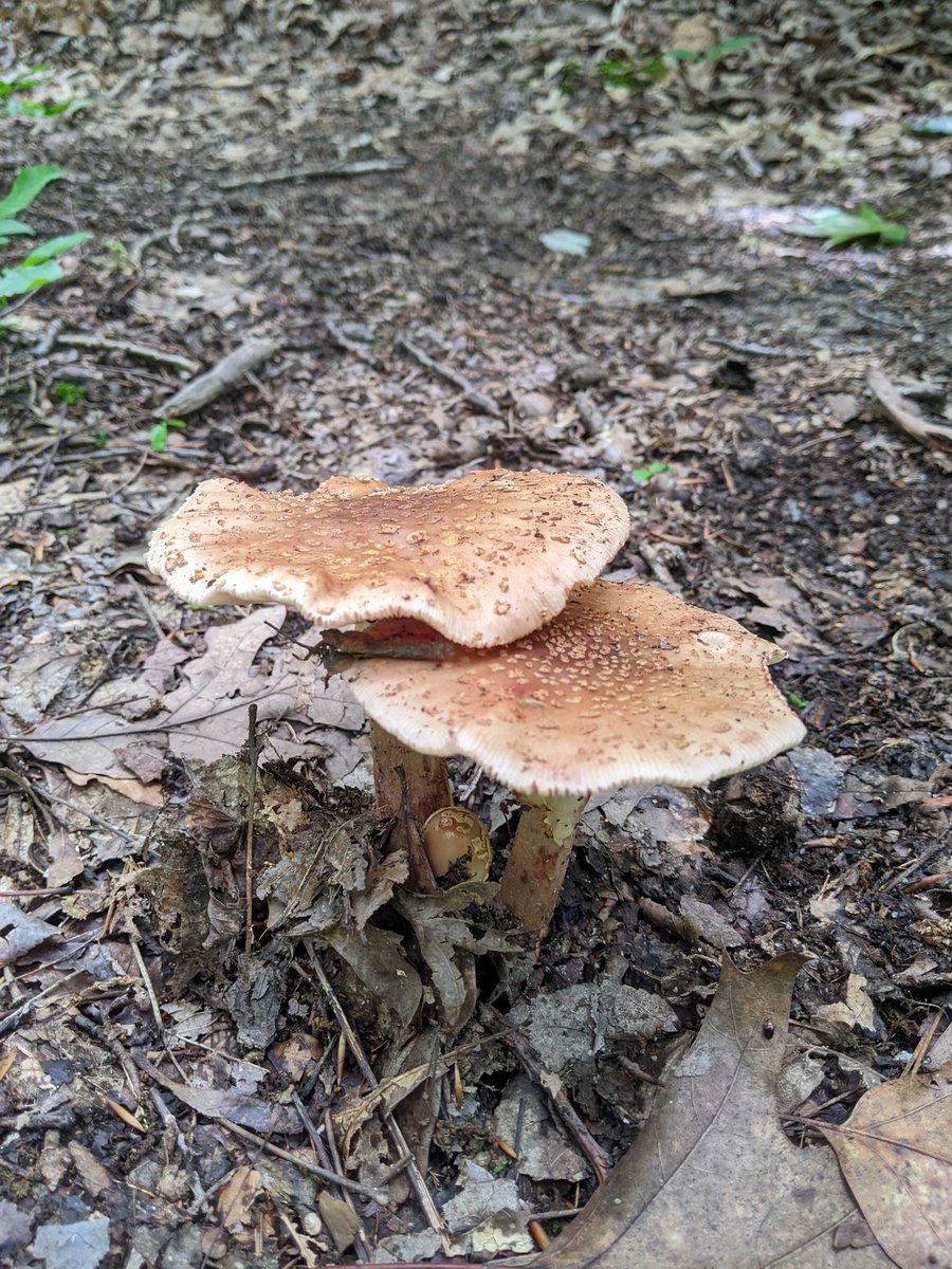 Love this time of year