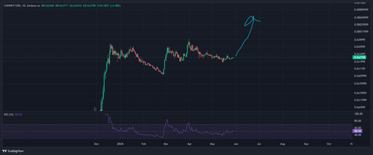 really think $chonky is about to absolutely rip here soon the fat train is bout to leave the station