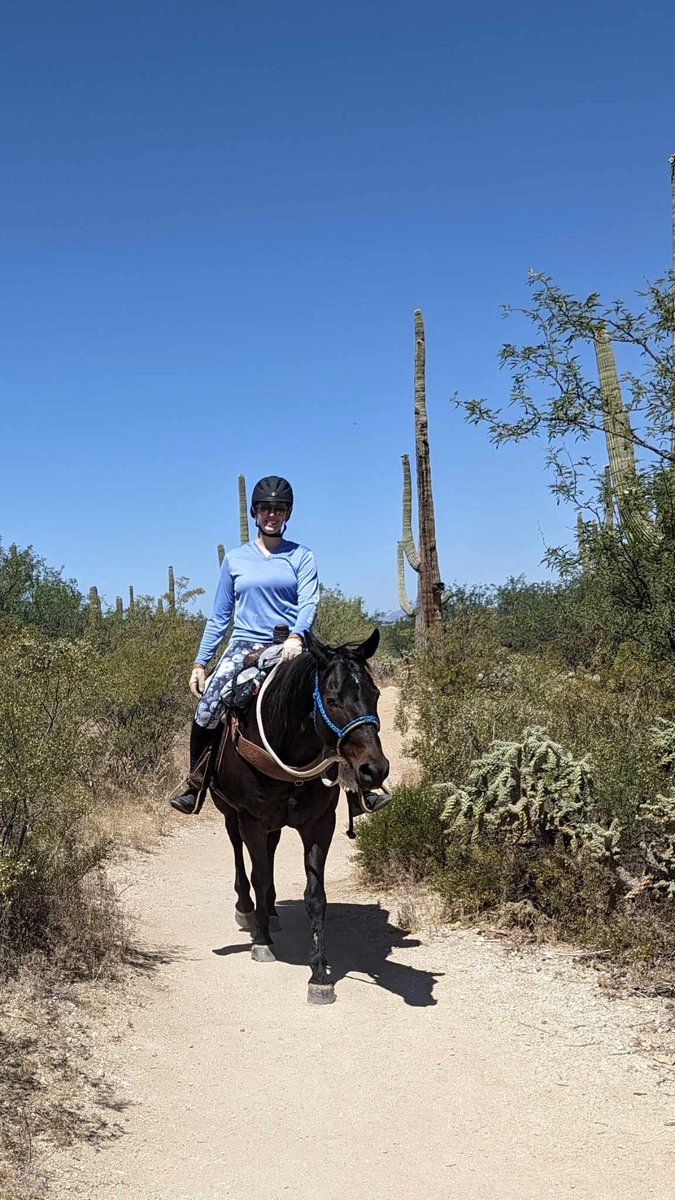 _agronomiss's tweet photo. Ok so this was officially one of the coolest experiences of my life 🐴 🌵 you’re never too old or too busy… always say yes to adventure ✈️ 

📍 Saguaro National Park, Arizona https://t.co/LCtUpEL9Nt