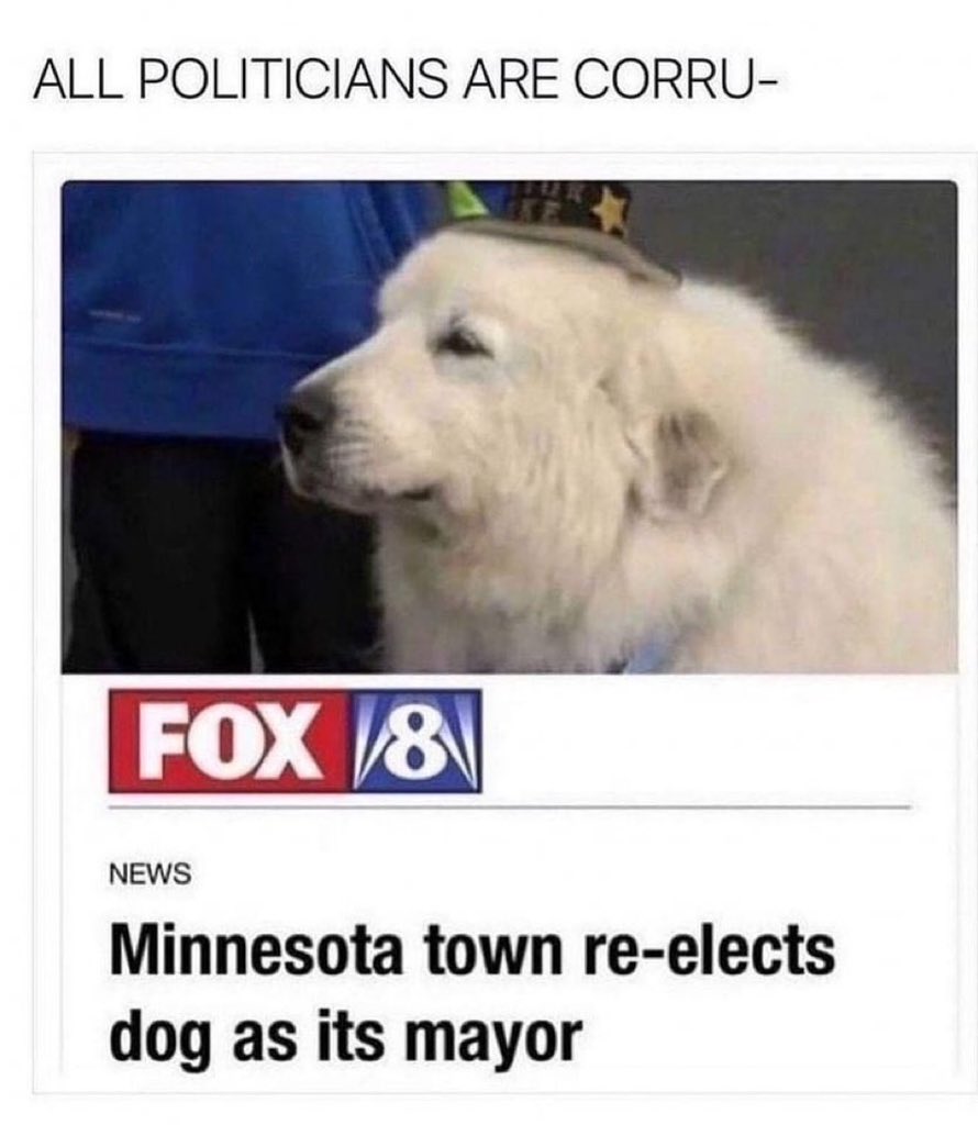 This pup has led the way… Please elect Winston as High President of the World