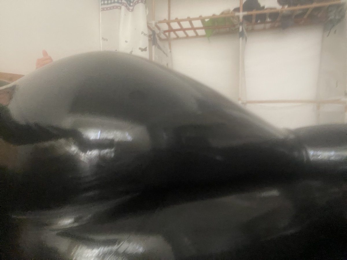 咱还有很多皂片～