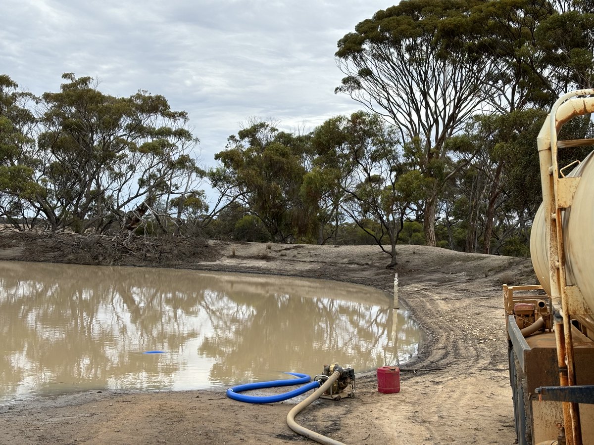DPIRDbroadacre's tweet image. Options for manipulating saline water for livestock and more in the new issue of #StockedUp 👇 

createsend.com/t/y-B9349D3176…