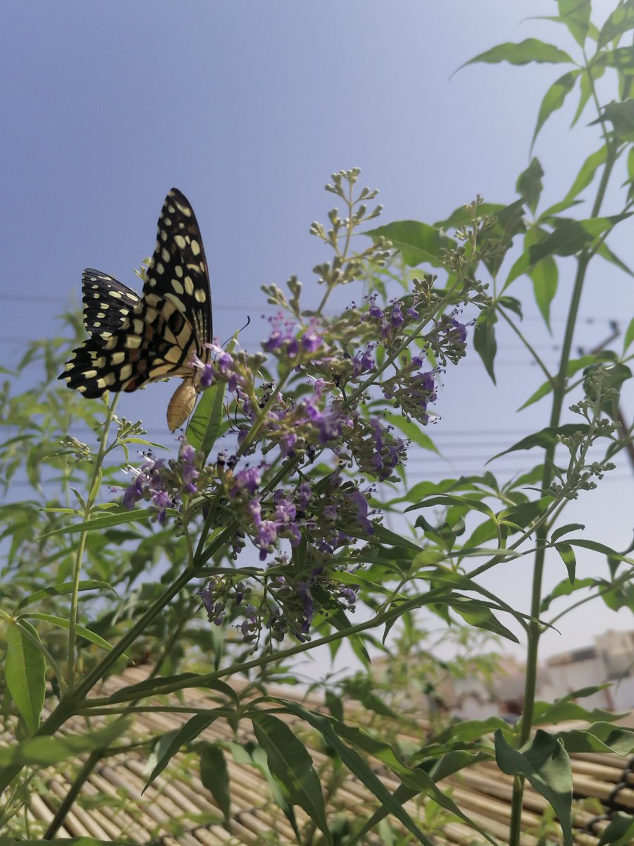 صباحكم خير وسرور
صباح العمل والعطاء بلا حدود
من تصويري ...