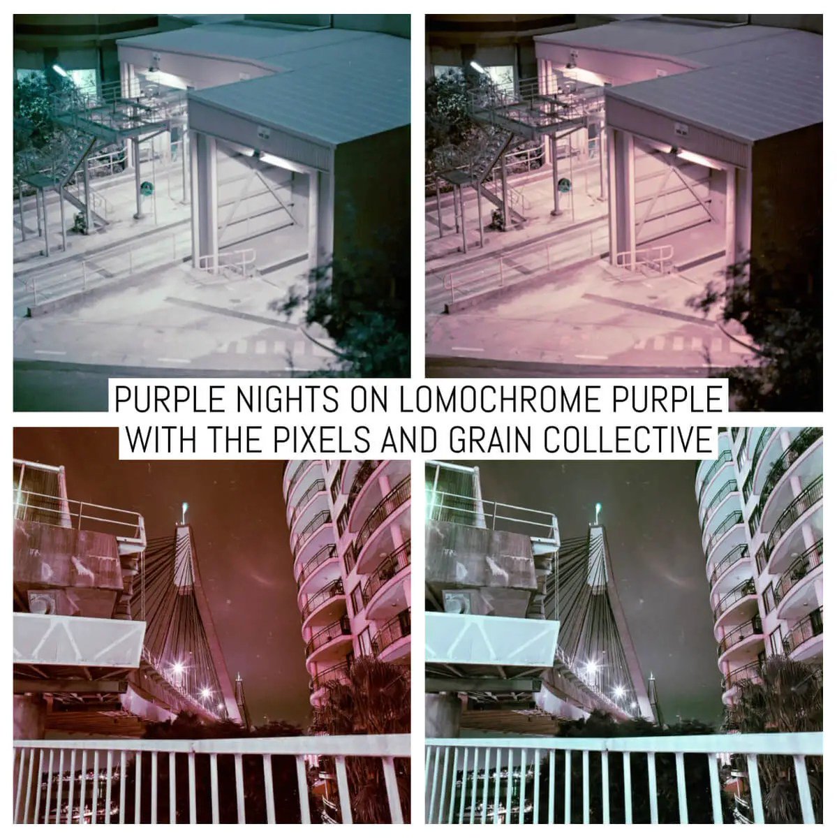 Purple nights on Lomochrome Purple with the Pixels and Grain Collective - by the Pixels and Grain Photography Collective

Read on at: emulsive.org/reviews/film-r…

#shootfilmbenice, #filmphotography, #believeinfilm @lomography
