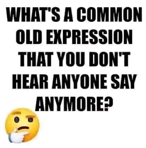 Damien Scott tweet media