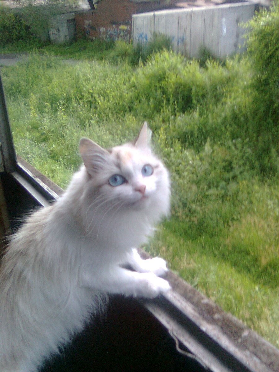 Zander (@birdintheground) on Twitter photo 