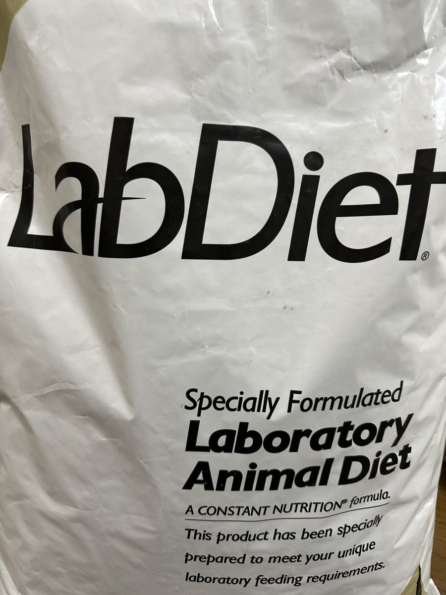 Hosouya_WAY_BP's tweet photo. 初導入！
@basic_haru さんありがとうございます🐭✨

#LabDiet https://t.co/0jyWMDjoWS