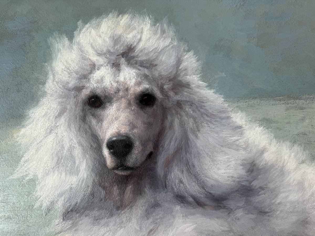 Maud Earl (British-American, 1863–1943) Ch. Nunsoe Duc de la Terrace of Blakeen, 1935 oil on board breed: #Poodle on display at @akcMOD #WomenArtists #DogsInArt