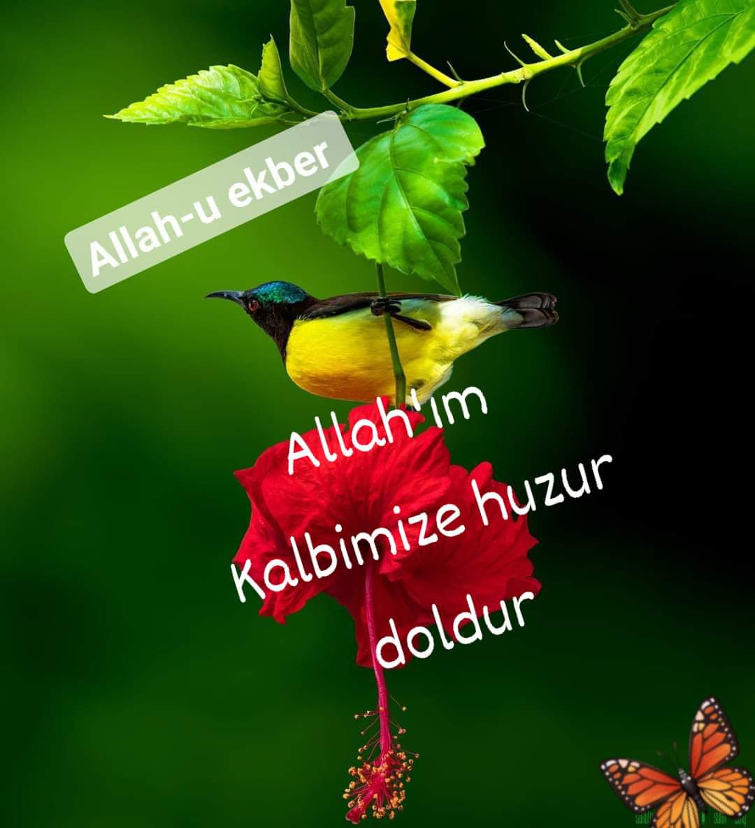 ● #Allah`ım ! Bizi Kendinle Meşgûl Eyle. ____/Hz. Rabia (r.a). Amin Güne #Bismillahirrahmanirrahîm #HayırlıSabahlar