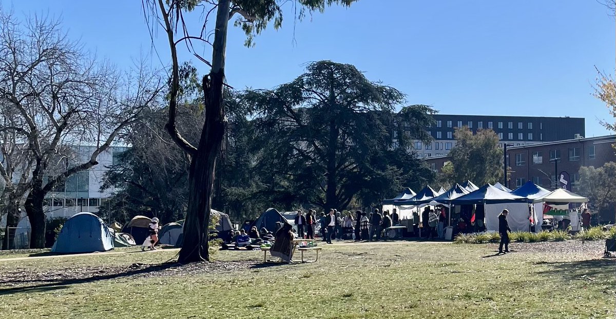 Dr Liz Allen tweet media