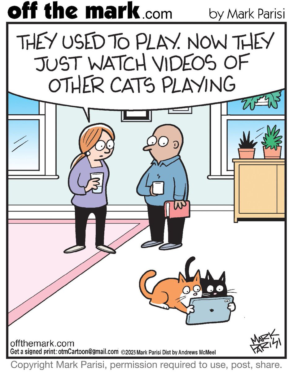 Technological Cat Age 
#catsfunny