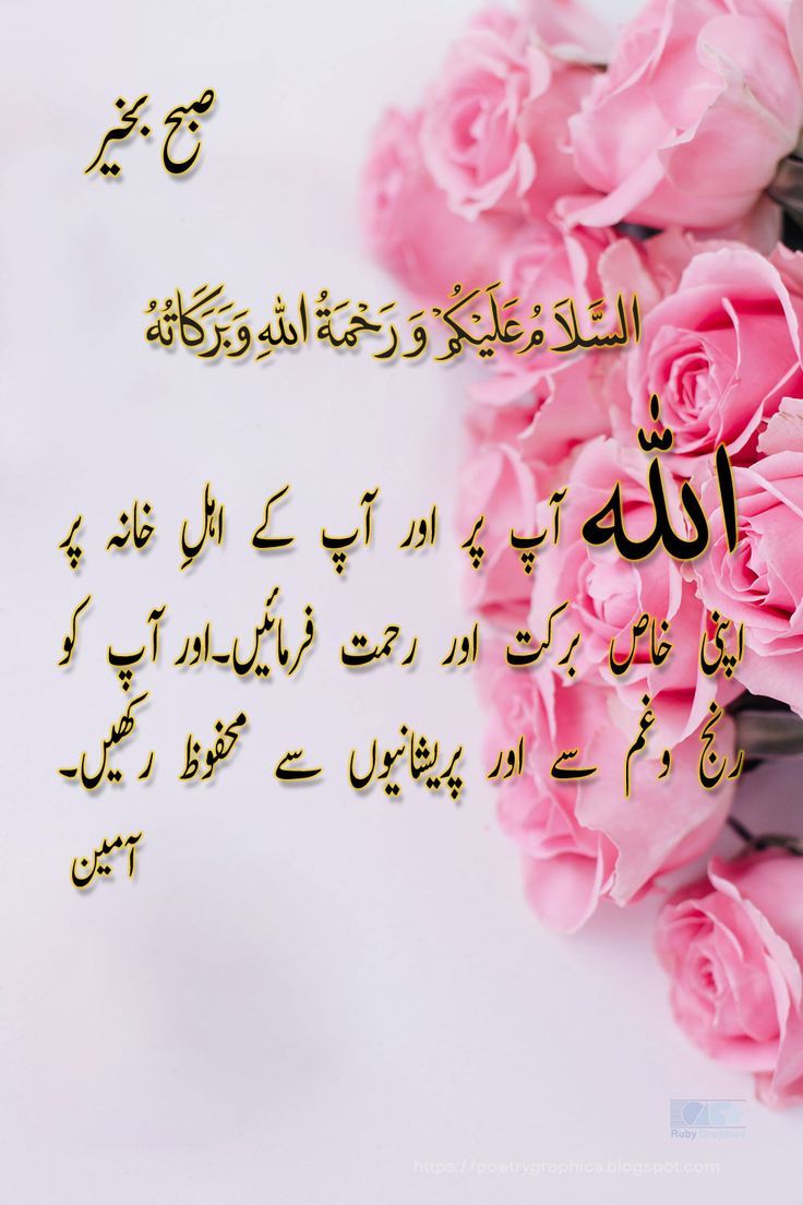 Hamza Shabbir (@hamzashabbir439) on Twitter photo 