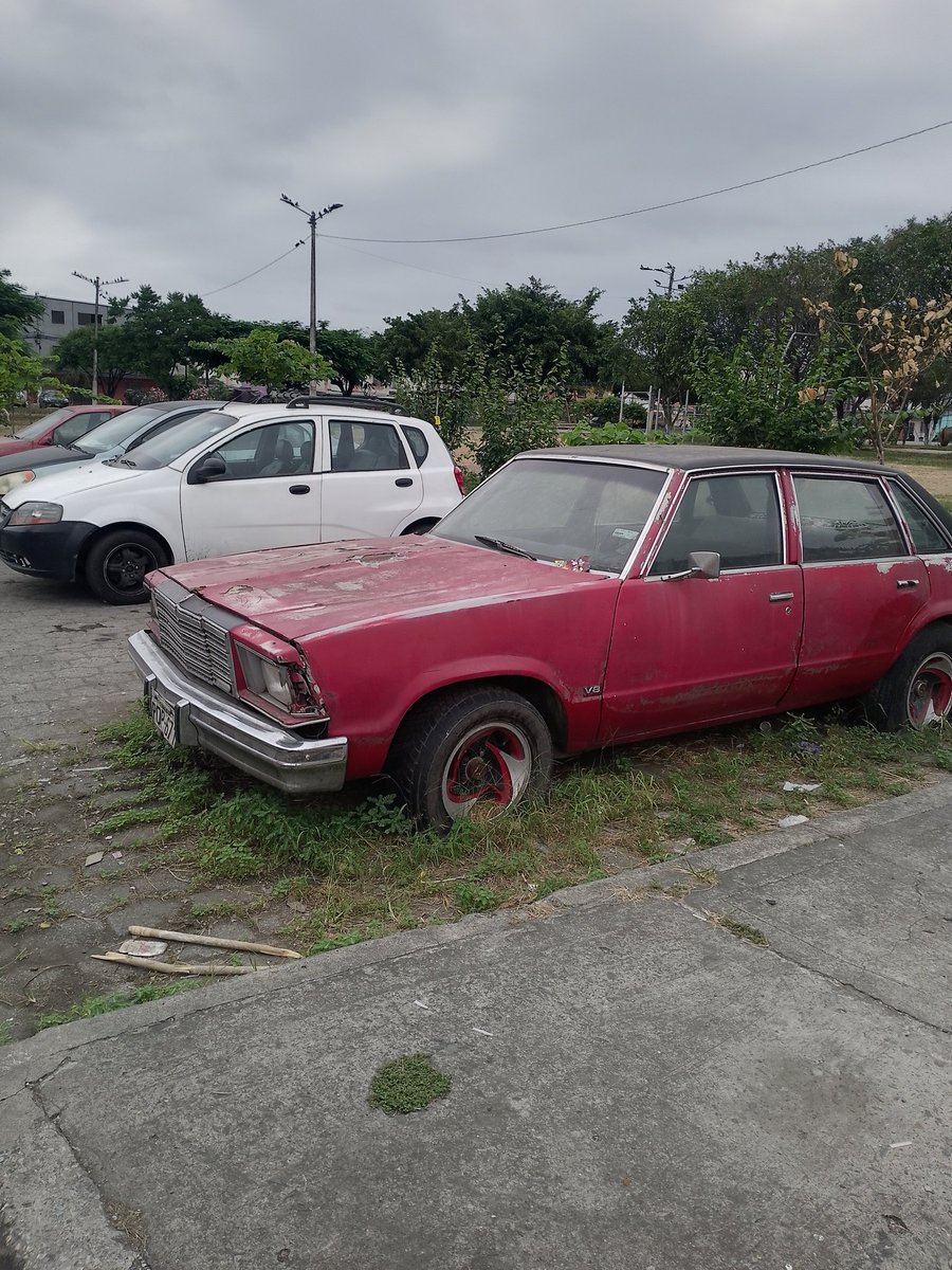 Balder_el_Brav's tweet photo. @ATMGuayaquil la comunidad de la Huancavilca Norte aun lado de los @VergelesGYE les pide que retiren estos vehículos que llevan años abandonados y son usados como lugar de reunión de viciosos todos los días.
@alcaldiagye @AquilesDAH @deprimeraQB @paultutiven @luisantonio_r https://t.co/uRlft6k0IL