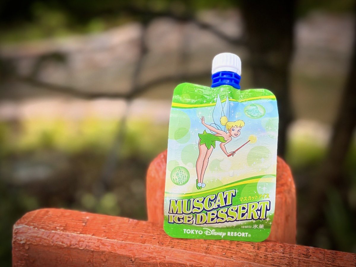 夢と魔法の王国に新しいアイスが 今年から仲間入り🍨 みんなよろしく