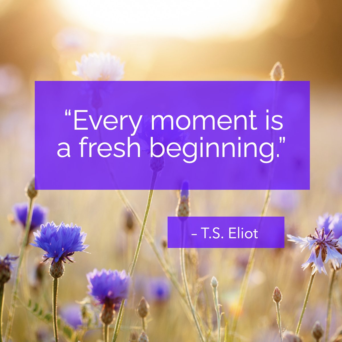 Thomas Stearns Eliot OM was a poet, essayist, publisher, playwright, literary critic, and editor.

Considered one of the 20th century's major poets 

#tseliot #beginnings #inspiring #inspirational #quote
 #AndreaDavis