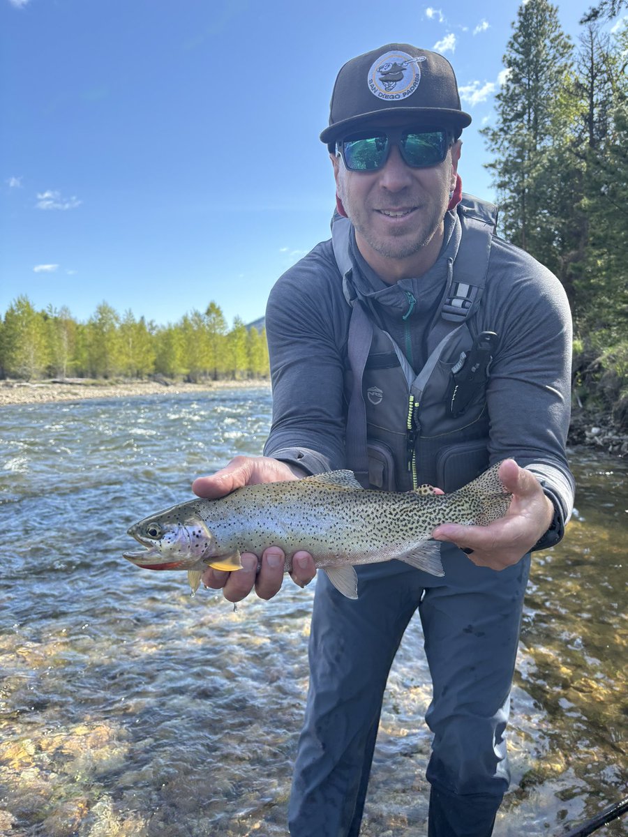 Tony Biesiot tweet media