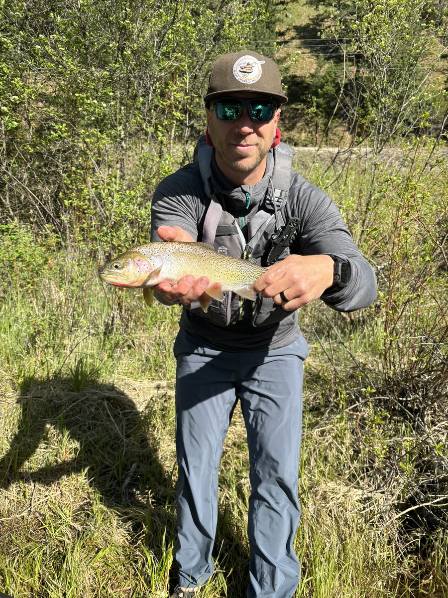 Tony Biesiot tweet media