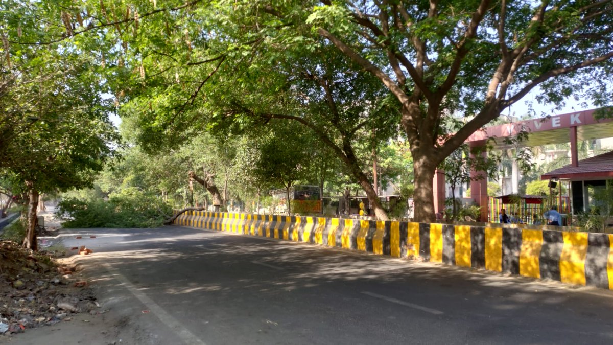 Road blocked in front of VivekVihar by a fallen tree. Could Noida auth remove the same