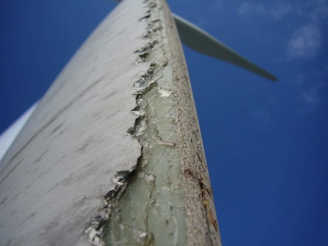 I didn’t know that wind turbines lose hundreds of kilos of carbon microfibers during their operation over time (due to abrasion at the wing edges).

These carbon microfibres are stored in the environment, land in our soils & enter waterways (drinking water?) & perhaps our food
