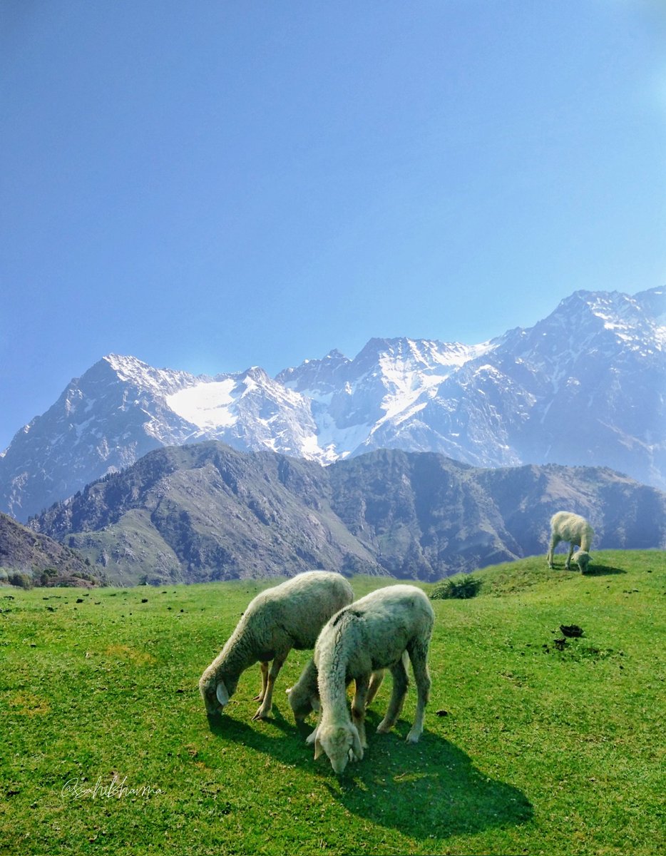 Jia Valley, Kangra