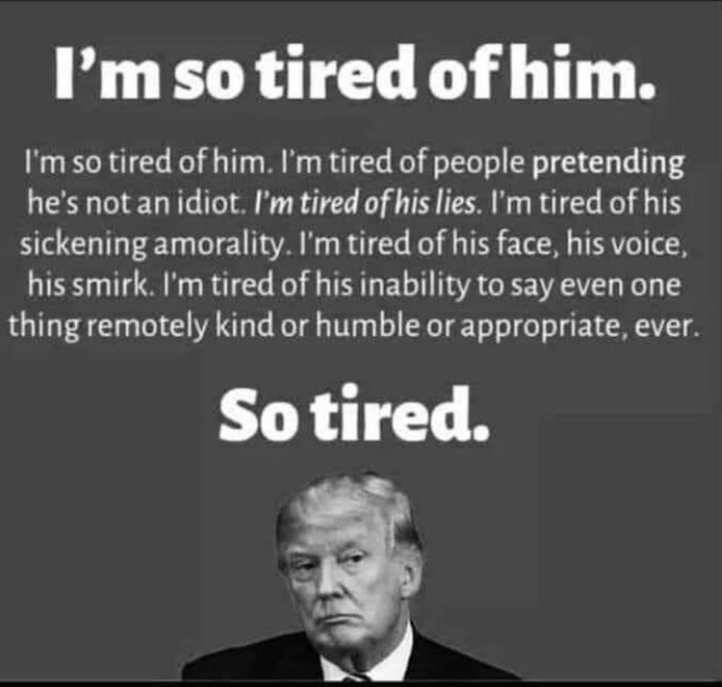 I cannot deal with another 4 years of Trump. Our country will not survive. Look at how much hate and division he has caused. How many have lost friends and loved ones because of his lies. Democrats and Independents who stay home elect Republicans. Please vote😔🗳️🇺🇸💙
