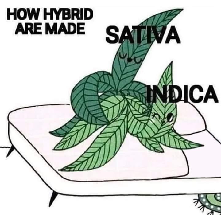 Content from emphia