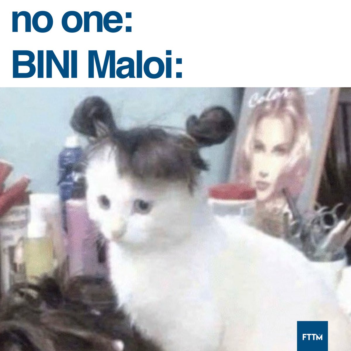 Meowloi ang hairstyle 🐱 @bini_maloi
