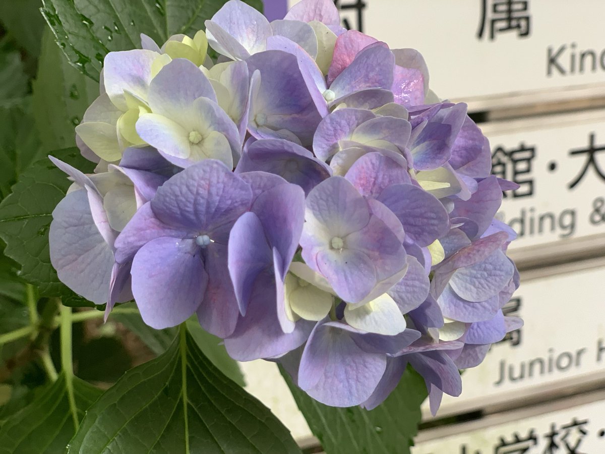 dongri727's tweet image. 期間限定工学部生第七週　＃flutter #fullstackflutter #還暦復学