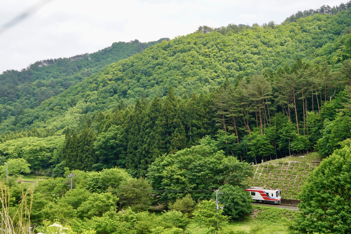 頭隠して尻隠さずとはこのこと

#三陸鉄道　#三陸鉄道リアス線　#三鉄　 #さんてつ　#岩手　#岩手県
#japan  #iwate  #sanriku  #sanrikurailway  #railway