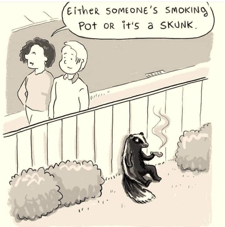 Content from emphia