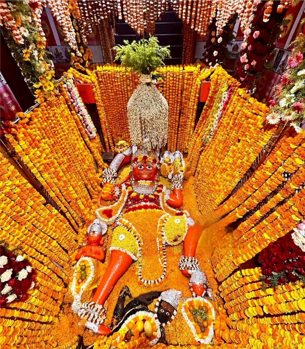 Divya Darshan of Shree Bade Hanuman Ji , Sangam Prayagraj🚩🕉️