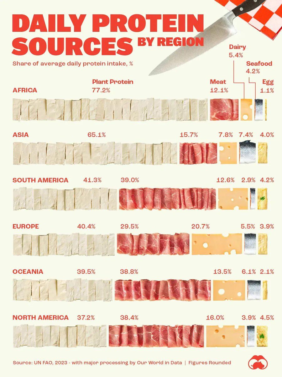 Daily protein sources by region
