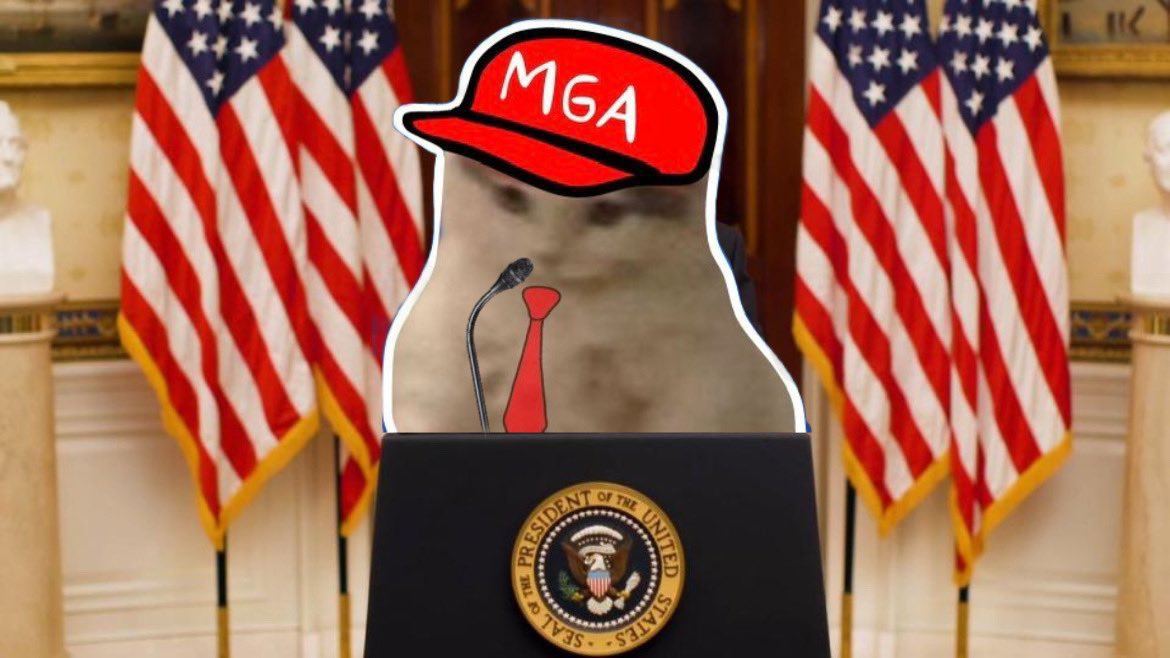 ABEFE (₿ ,𓄿) tweet media