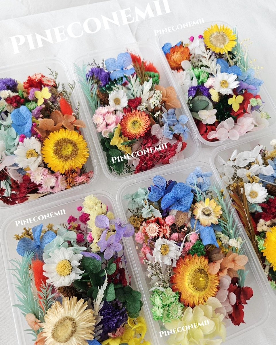 Pineconemii's tweet photo. https://t.co/0GyVemoz10 https://t.co/YdSyykQG5r