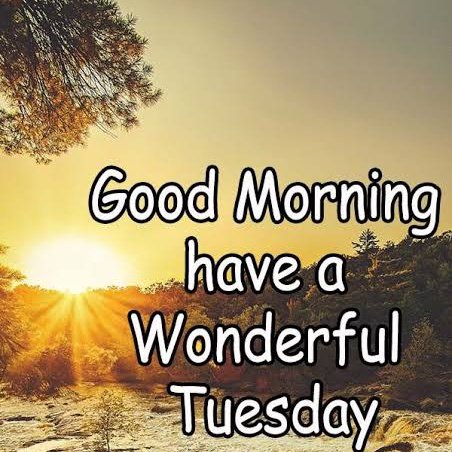 Friends, particularly the unemployed, don't despise jobs. Whatever your hand finds to do, do it with all your might, for in the grave, where you are going, there is neither working nor planning nor knowledge nor wisdom. It's biblical. ✌