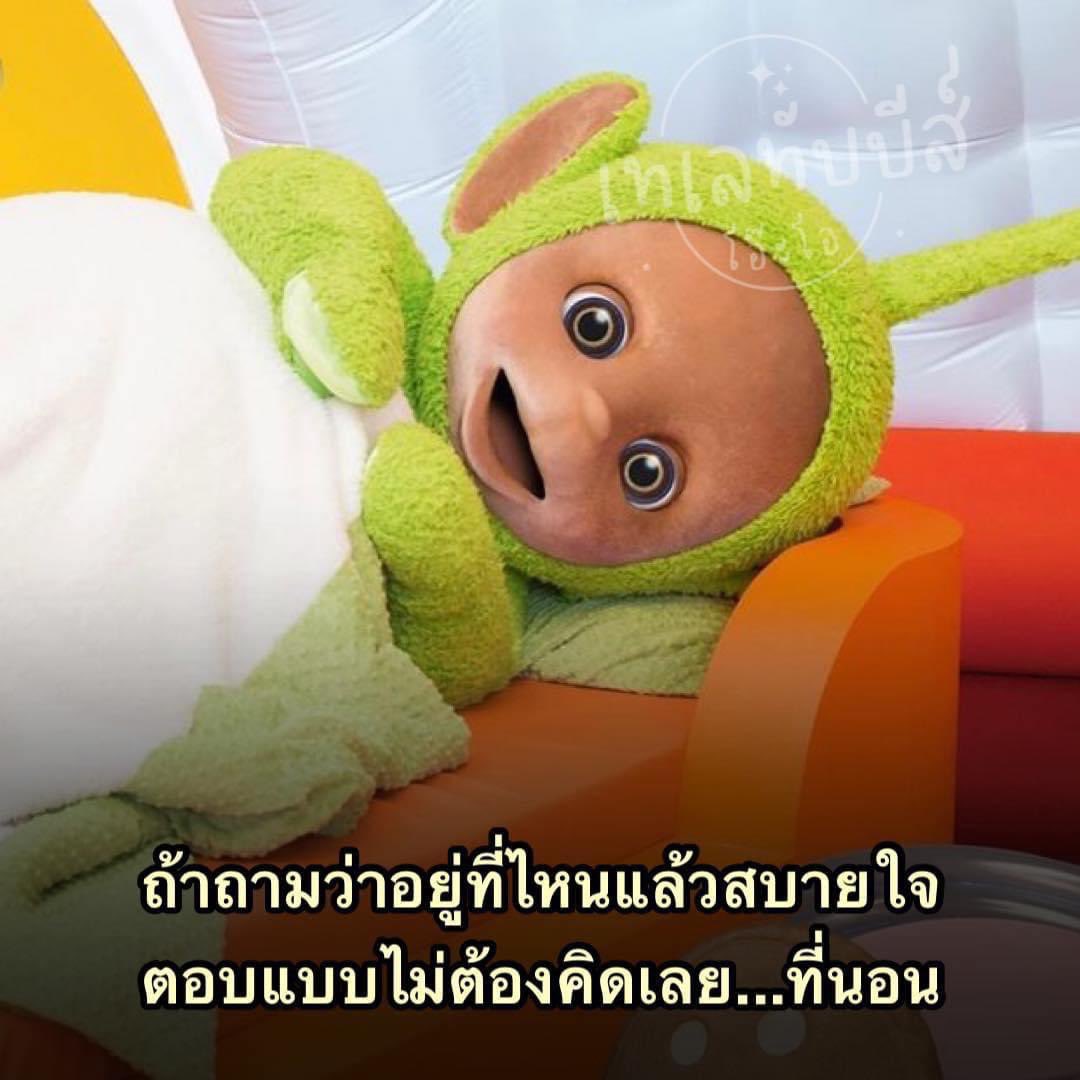 ช่างแม่ง🐰🏳️‍🌈 tweet media