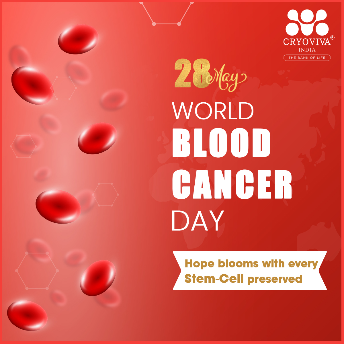 On May 28, World Blood Cancer Day (WBCD) is a global #awareness day dedicated to the fight against blood cancer. Today, #Cryoviva honor the strength of those fighting blood cancer.

#wordbloodcancerday #wbcd #cancerdayawareness #cordblood #cordbloodbanking #wellbeing