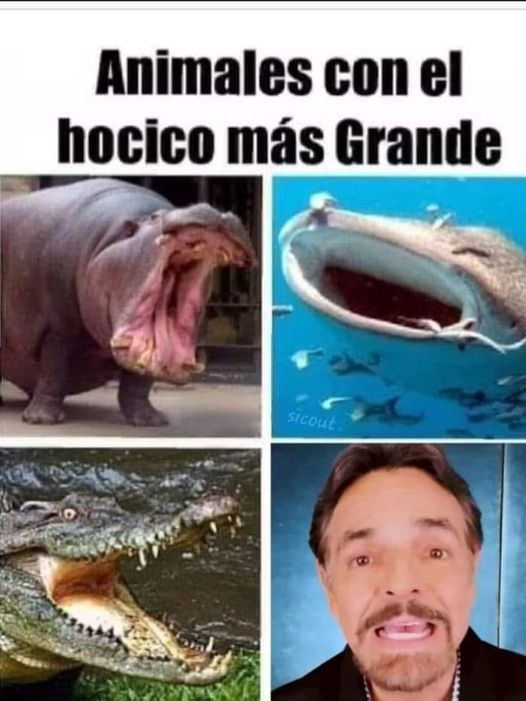 pelayo_miguel's tweet photo. https://t.co/oVo1GQEbQV
